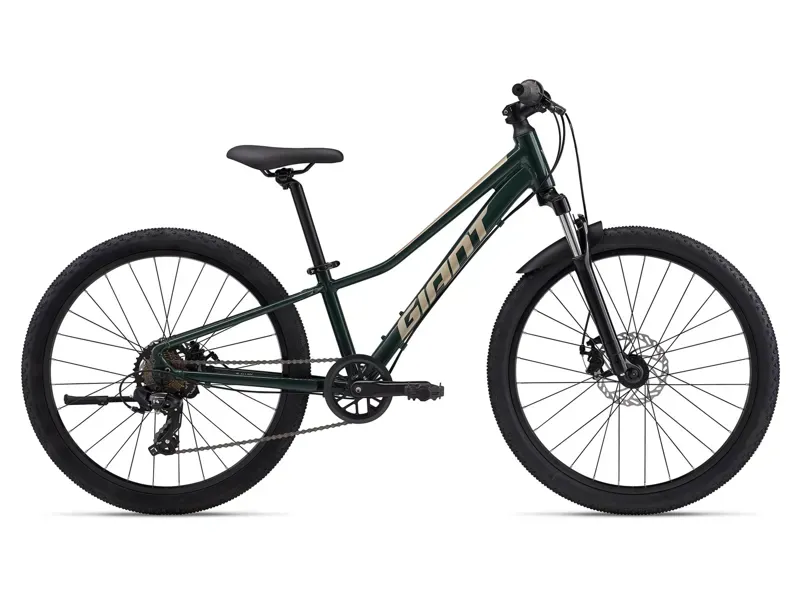 Giant Talon 24-inch Junior Disk Brake Trekking Bike in Green