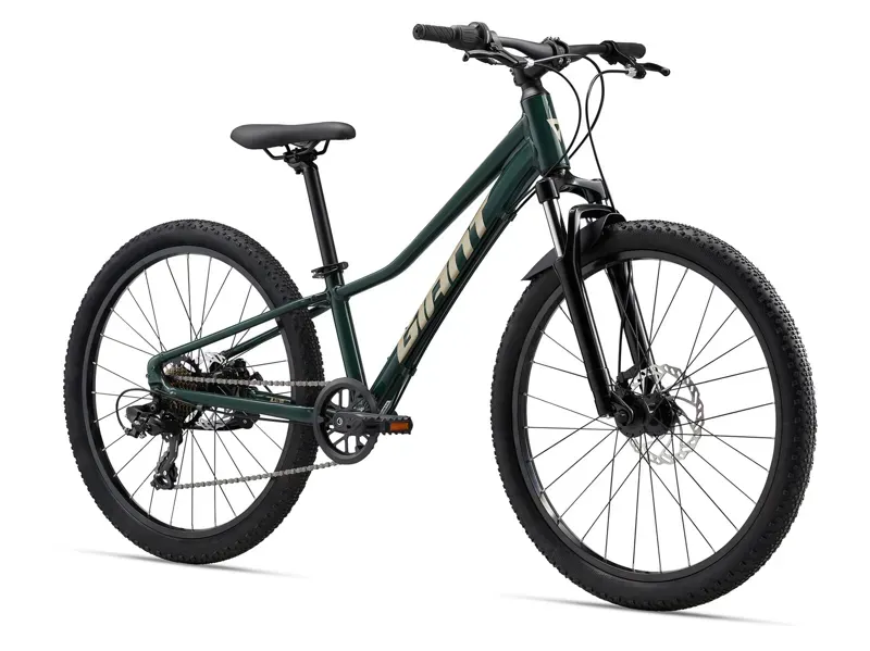Giant Talon 24-inch Junior Disk Brake Trekking Bike in Green-1
