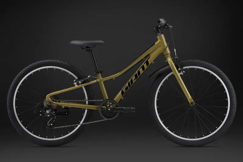 Giant Talon 24 Lite Kids' Mountain Bike in Dried Herb-1