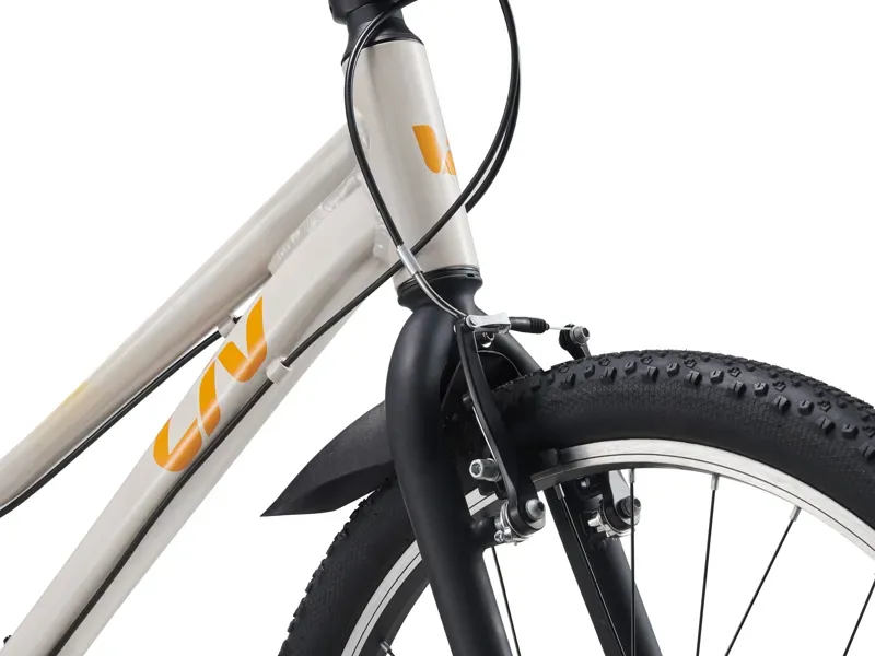 Liv Tempt 24 Lite Youth Mountain Bike in Mushroom-3