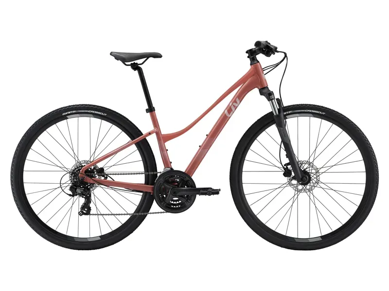 Liv Rove 4 Disk Hybrid Bike in Terra Roza