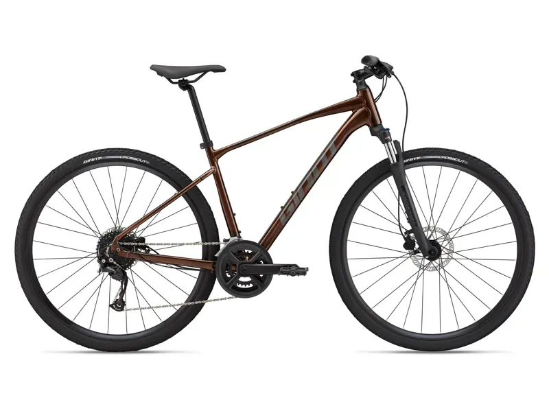 Giant Roam Disk 2 Hybrid Bike in Hematite