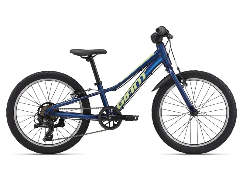 Giant Talon 20 Lite Junior Mountain Bike In Eclipse