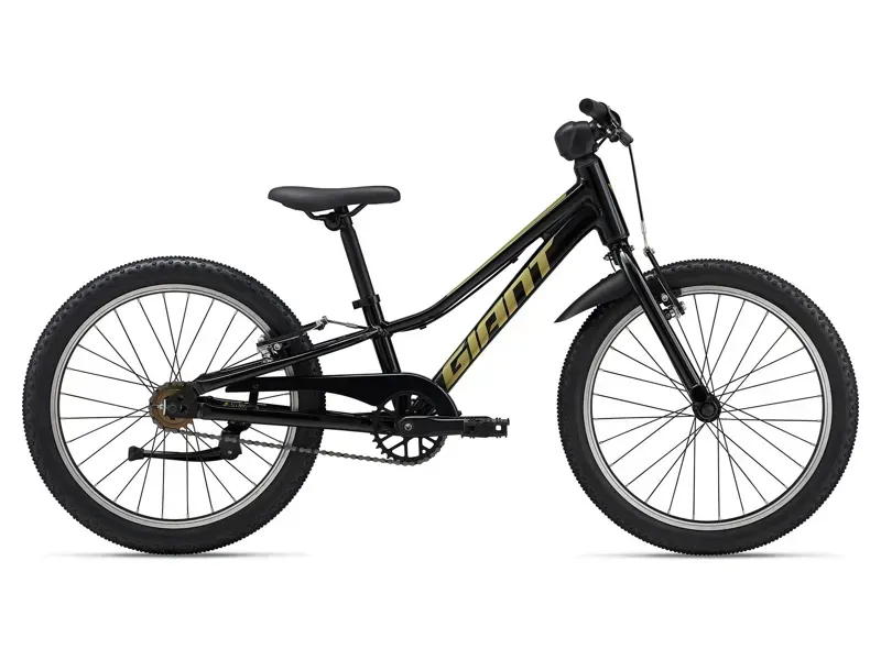 Giant Talon 20 SS Junior Mountain Bike In Black