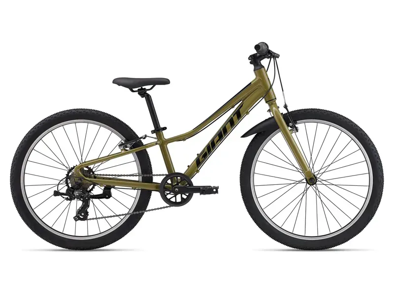 Giant Talon 24 Lite Junior Mountain Bike In Bike In Dried Herb