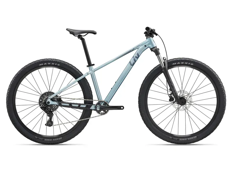 Liv Tempt 2 XC Mountain Bike in Cryo Silver