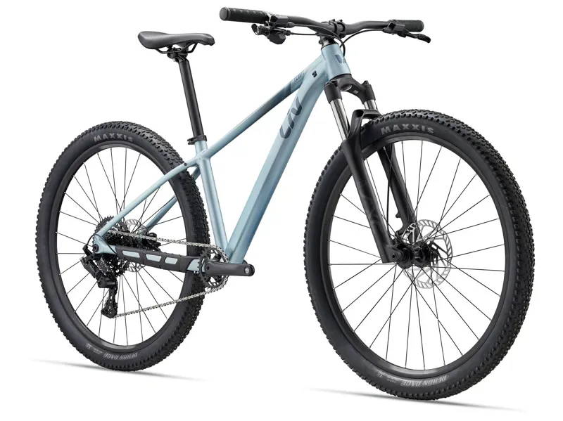 Liv Tempt 2 XC Mountain Bike in Cryo Silver-1