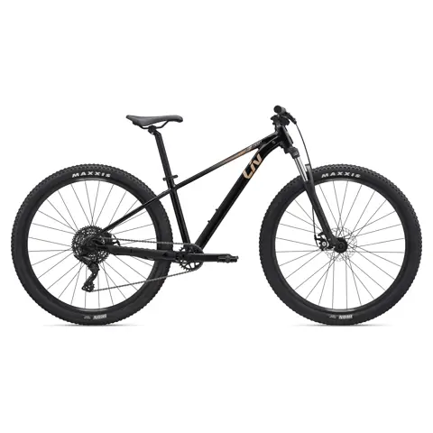 Bikes | Cadence120 Bicycle Works Bikes | Cadence120 Bicycle Works